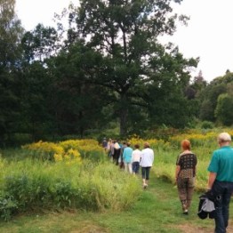 skrivarkurs_1-300x300